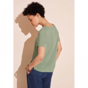 15816 soft moss