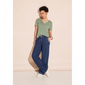 15816 soft moss