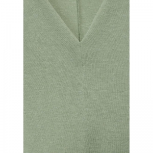 15816 soft moss