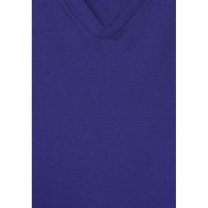  15817 violet bl