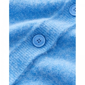  60031 blue salt