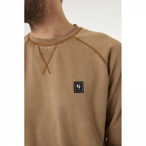 4167-golden bro
