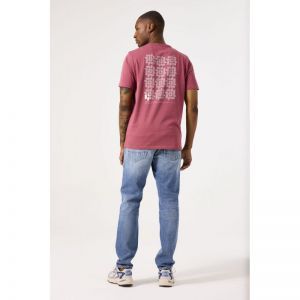  1067-soft rose