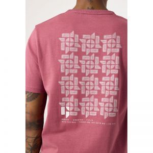  1067-soft rose