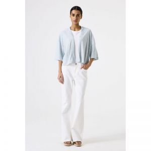  1257-blue wave