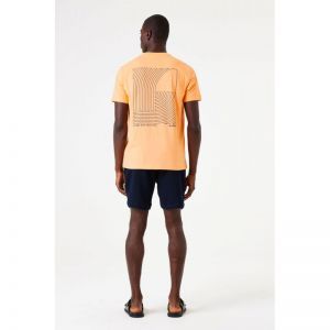  1271-apricot